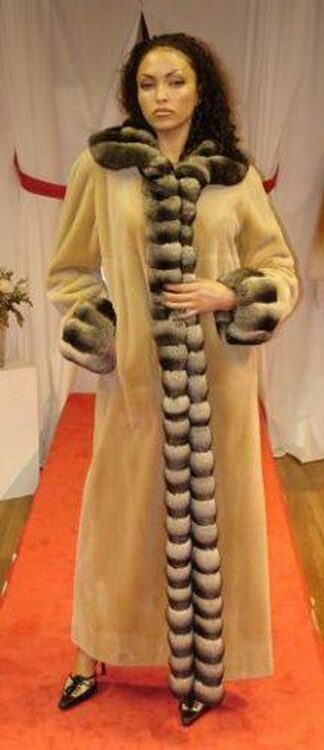 Camel Sheared Full Length Mink Coat with Chinchilla Trim 7788