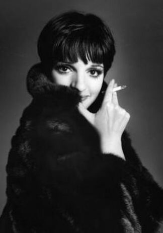 Full Length Liza Minelli Fabulous Blackglama Mink Jacket