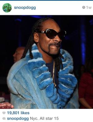 Snoop doge blue mink and chinchilla