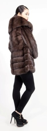 Amazing Russian Sable Fur Stroller Directional