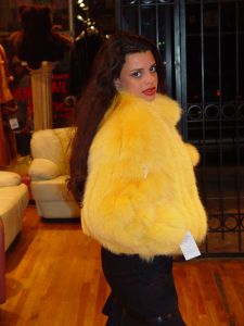 Marc Kaufman Furs Presents a Canary yellow dyed fox fur bomber jacket from Marc Kaufman Furs New York,Argentina,United Kingdom,Austria,Denmark,Norway,Australia,Finland,Saudi Arabia,Oman,Kuwait,Jordan,Egypt