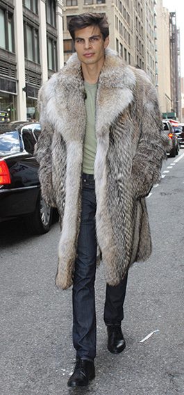 Coyote_Fur_Coat_C-copy-265x568.jpg