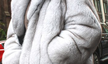 Blue Fox Fur Mens Bomber  Jacket   Marc Kaufman Furs