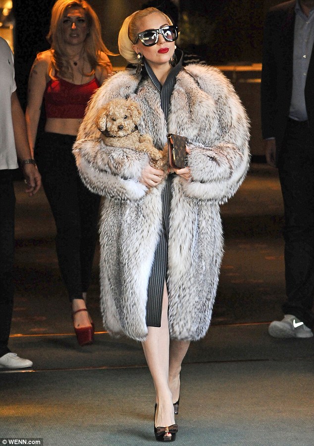 Lady Gaga Fur Coat
