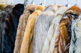Melbourne Australia Marc Kaufman Furs, Real Fur Coats Melbourne