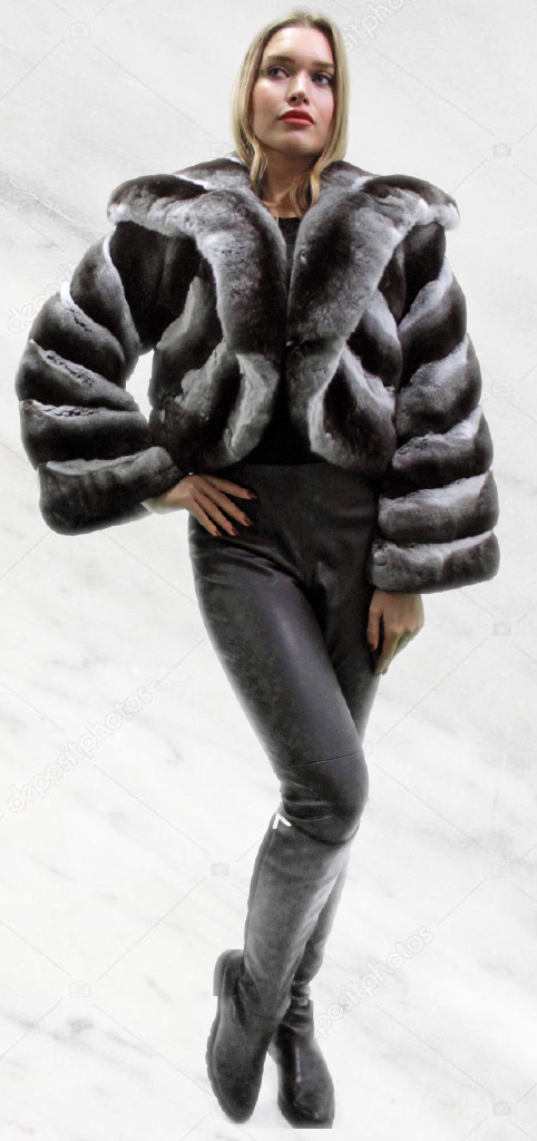 Chinchilla Rug, The Most Luxurious Fur Coat