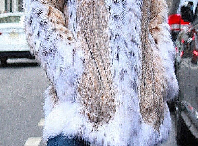 American Cat Lynx Fur Jacket 30890 – MARC KAUFMAN FURS