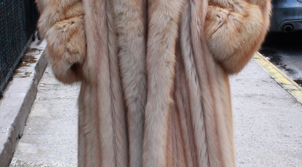 Golden Sable Fur Coat 21902 | MARC KAUFMAN FURS