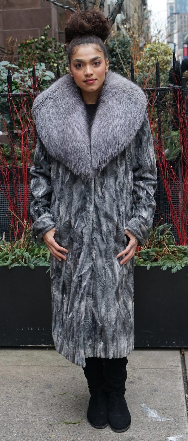Gray Persian Coat Fox Collar