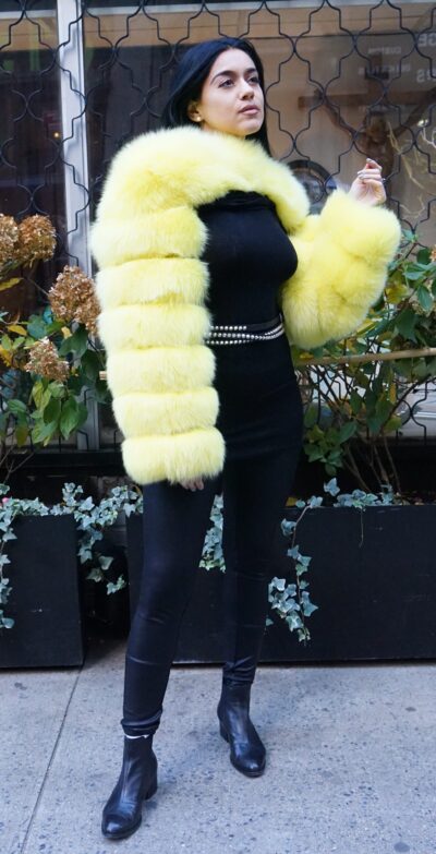 Yellow Fox Bolero Jacket