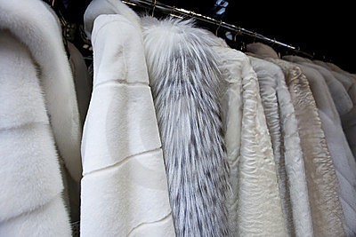 Tips for Caring for and Storing Fur