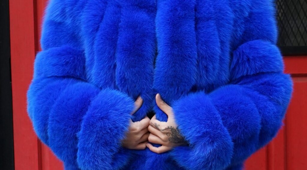 Special Purchase Royal Blue Fox Jacket 4848 – MARC KAUFMAN FURS